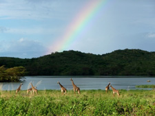 Tanzania-Tanzania-Arusha National Park Wilderness Ride